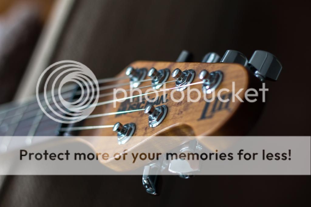 artsyheadstock_zpsfeced380.jpg