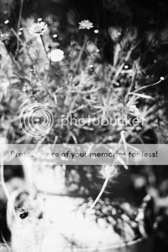 photo BlackWhite6_zpsjit364el.jpg