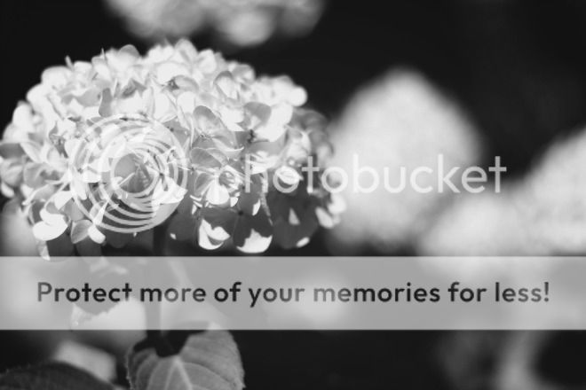 photo BlackWhite7_zpsi6ydd2go.jpg